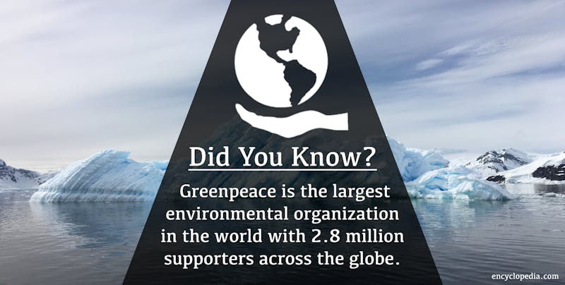 Greenpeace infographic